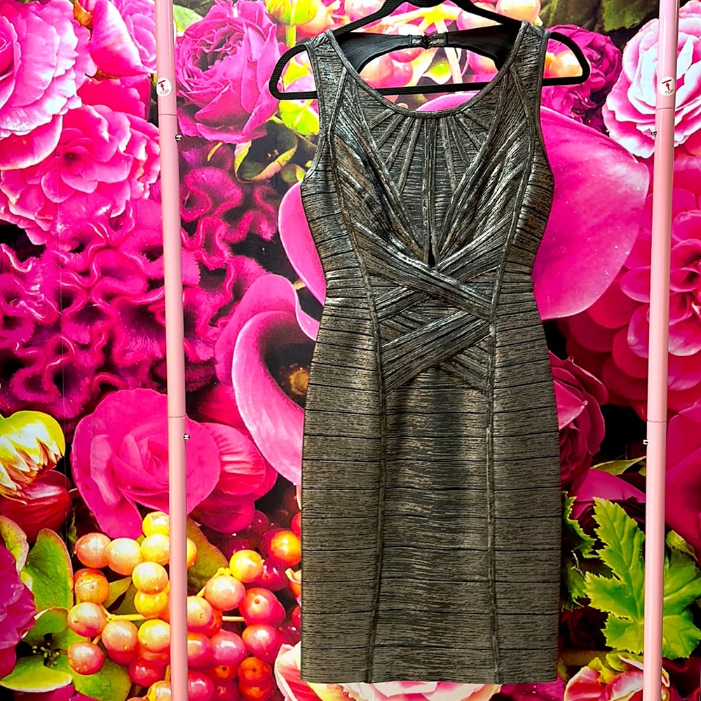 Herve leger dress
